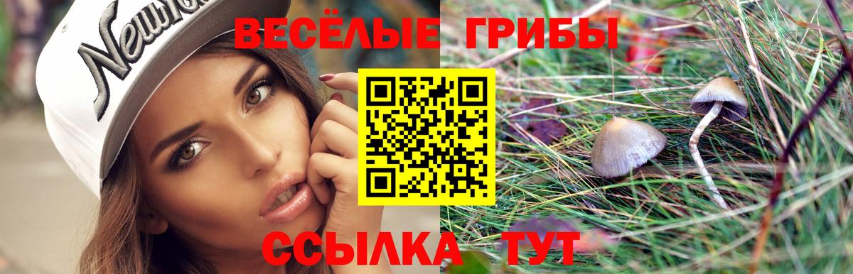 Галлюциногенные грибы Psilocybine cubensis Пенза